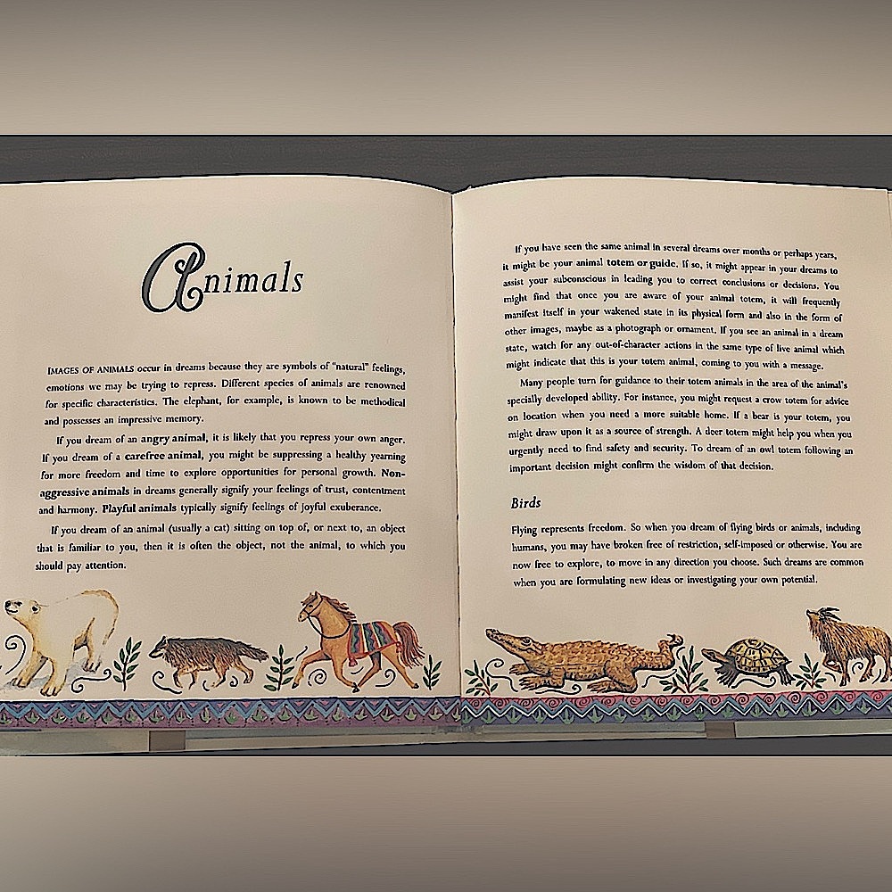 Dreams: Unlock the Secrets of Your Subconscious Book - Picture 11 of 13